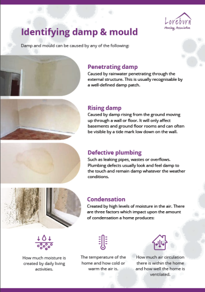 identifying damp & mould