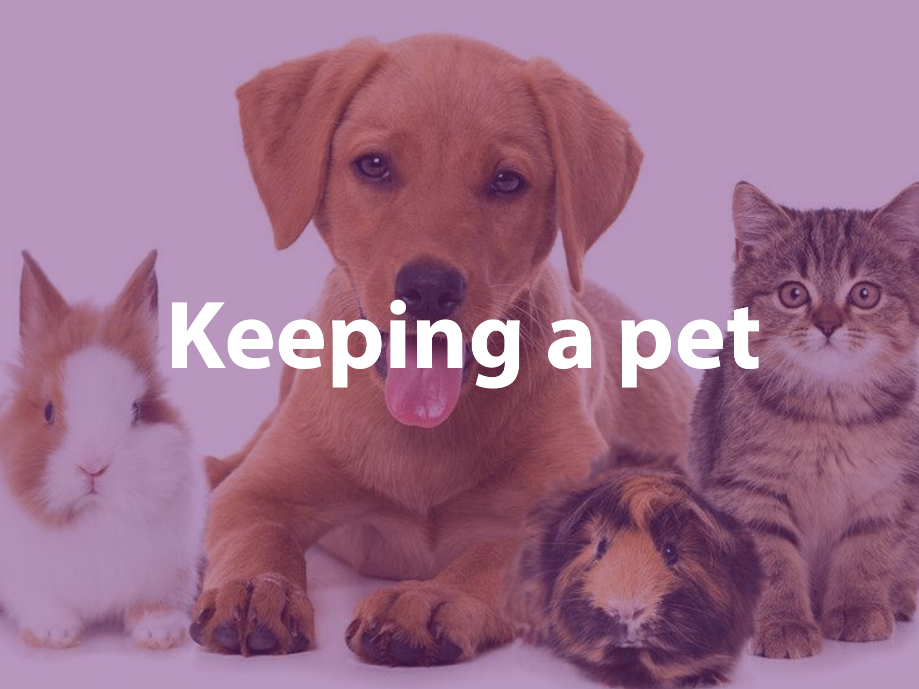 Keeping A Pet tile